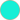 TURQUOISE (281)